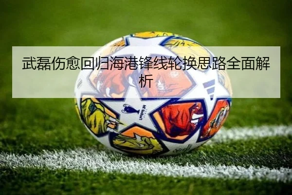 武磊伤愈回归海港锋线轮换思路全面解析 - BSPORTS